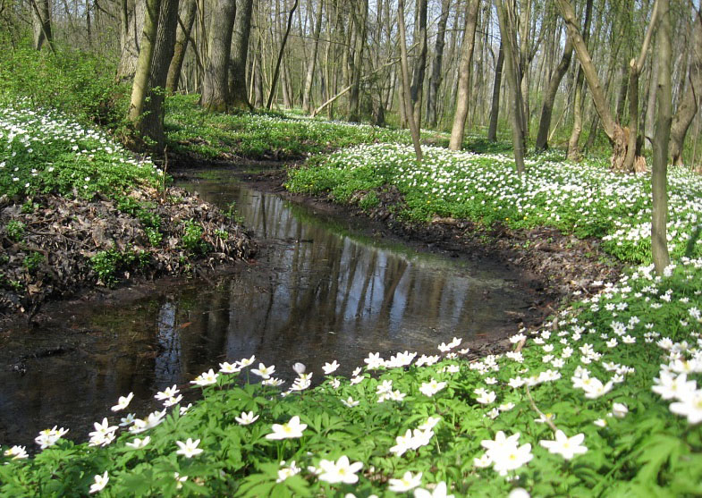 Авторские путешествия